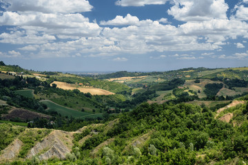 Landscape near Bologna at summer (Sabbiuno)