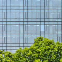 detail glass window background with green trees