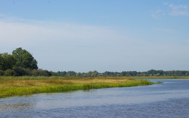 Wild nature of Belarus / Landscape of river and forest in Belarus