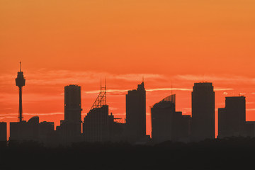 Sy CBD Black Red South Head 225mm