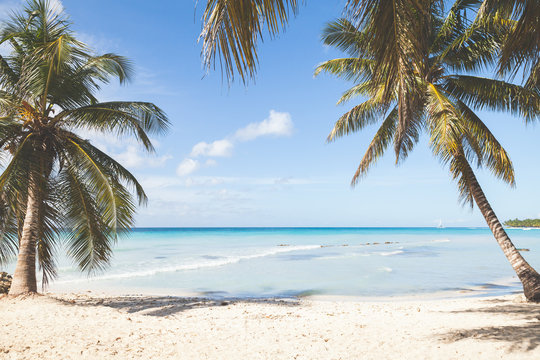 Tropical island beach, background photo