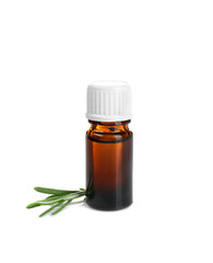 Bottle with rosemary oil and herb on white background