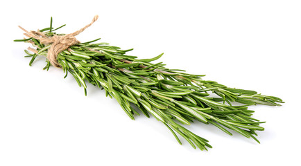 Green rosemary on white background