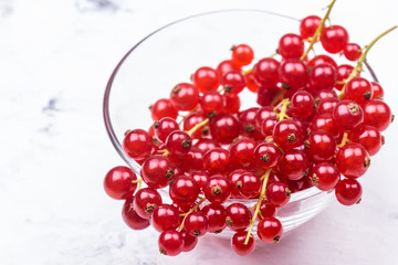 Red currant