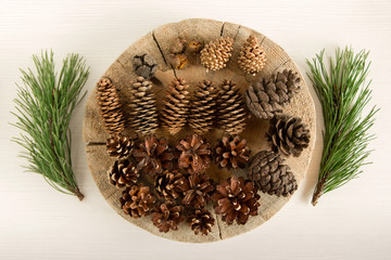 Different cones of coniferous tree and two branches of pine on the white wooden background, top view.