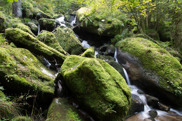 Gertelbach-Wasserfälle