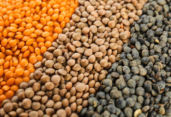 Different types of lentils as background