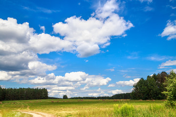 beautiful summer landscape with wild meadow on a background of clouds