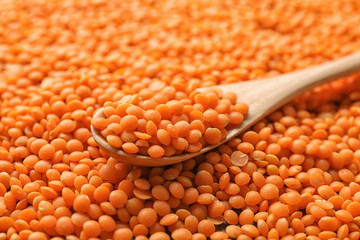 Spoon with healthy lentils, closeup