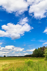 beautiful summer landscape with wild meadow on a background of clouds