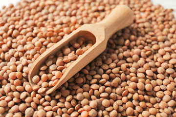 Scoop with healthy lentils, closeup