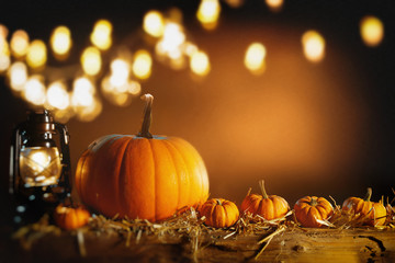 Naklejka premium Halloween or Thanksgiving background