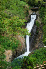 Fototapeta na wymiar Gitgit waterfalls, surrounded by beautiful wild nature