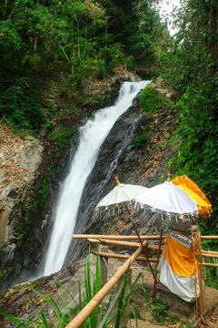  Gitgit waterfalls, surrounded by beautiful wild nature