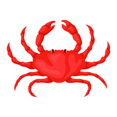 Red crab cartoon
