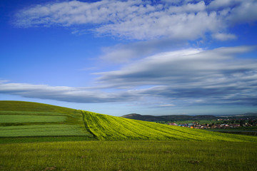 white cloud over grassland