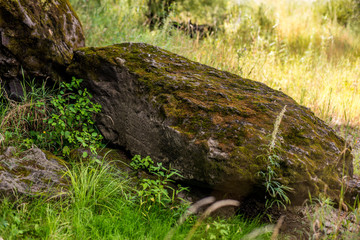 Ancient Petroglyph is located in the Sikhote-Alin , Khabarovsk, Russia