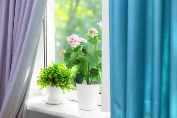 Beautiful view of houseplants on windowsill and curtains