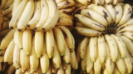 Banana for sale in Mumbai