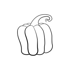 Vector outline illustration of a pumpkin on a white background