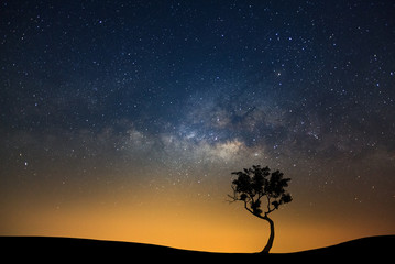 Obraz na płótnie Canvas Landscape silhouette of tree with milky way galaxy and space dust in the universe, Night starry sky with stars