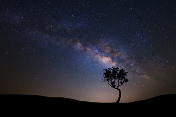 Naklejka na ściany i meble Landscape silhouette of tree with milky way galaxy and space dust in the universe, Night starry sky with stars