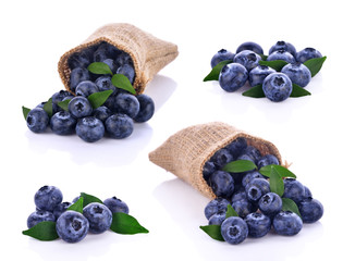 blueberries isolated
