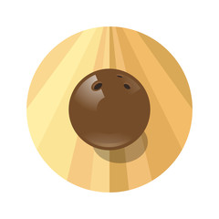Fototapeta premium Bowling illustration. Bowling emblem. Bowling brown ball in the circle.