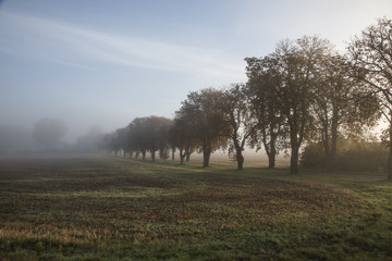Sk&aring;ne landscape