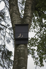 Bat house
