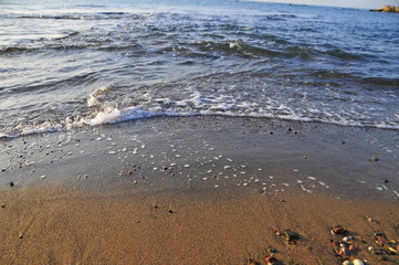 Seaside in the beach 
