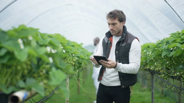  Portrait of smiling farm worker with computer tablet in fruit orchard
