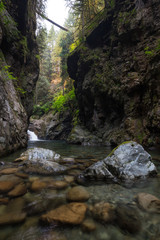 Fototapeta premium River flowing down the beautiful canyon in the Canadian Landscape. Taken in Lynn Valley, North Vancouver, British Columbia, Canada.