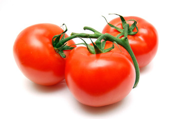 fresh tomatoes on white fabric background, organic fresh tomatoes, Creative layout made pepper, vegetable concept