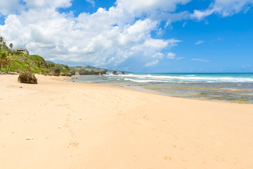 Fototapeta na wymiar Rock formation on the beach of Bathsheba, East coast of island Barbados, Caribbean Islands - travel destination for vacation