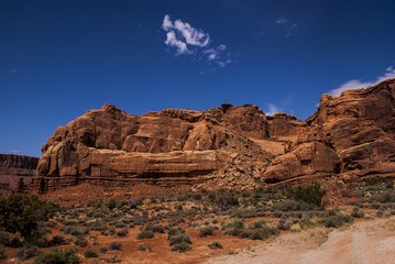 Fototapeta premium Eroded Sandstone in Arches National Park