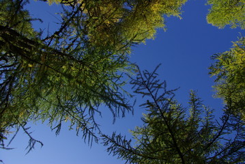 ツェルマット　トレッキング