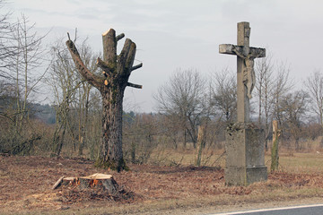 Baumfrevel am Kreuz