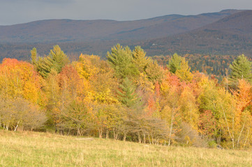 Vermont Fall Foliage, Mount Mansfield in the background, Vermont, USA.