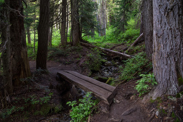 Beautiful hiking path in the wilderness. Taken in Garibaldi Provincial Park, near Squamish and Whistler, North of Vancouver, British Columbia, Canada.
