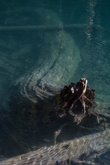 Beautiful view on the glacier lake in Garibaldi Provincial Park during a vibrant summer day. Taken North of Vancouver, British Columbia, Canada.
