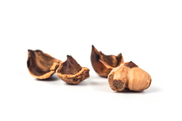 Chestnuts food from rain forest