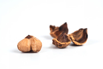 Chestnuts food from rain forest