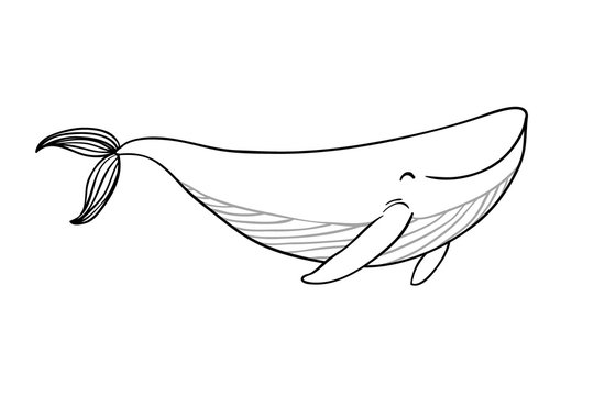 A small cartoon whale.