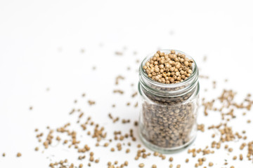 Organic Dried coriander seeds (Coriandrum sativum) in a glass jar, selective focus, on white background