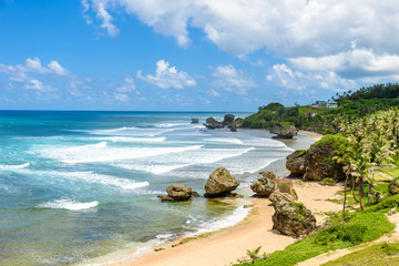 Rock formation on the beach of Bathsheba, East coast of  island Barbados, Caribbean Islands -...
