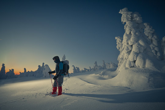 Schneeschuh wandern Harz Winter