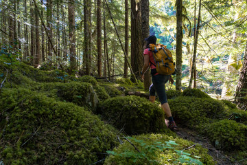 Fototapeta premium Beautiful view of a hiking trail during a vibrant summer day. Taken near Chilliwack, East of Vancouver, British Columbia, Canada. 