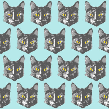 Cats pattern. Cartoon seamless animal wallpaper
