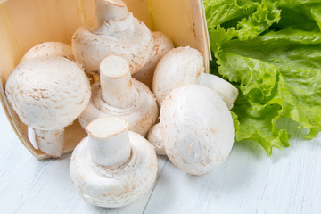 Fresh raw champignon mushrooms